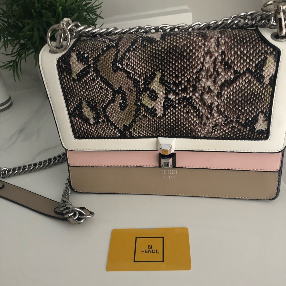 Fendi bag